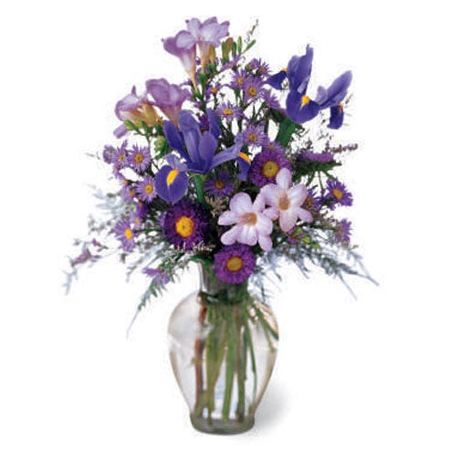 Blue Iris with purple asters in a glass vase