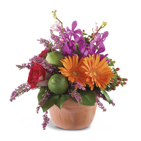 luxury orange gerbera daisy bouquet with clay pot, pink heather and limes