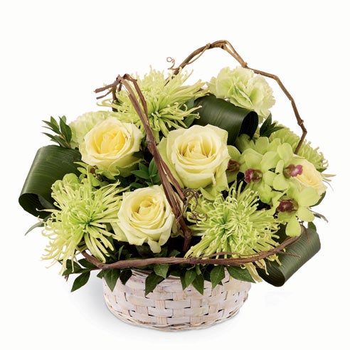 A Bouquet of Pale Green Roses, Pistachio Carnations, Light-Green Dendrobium Orchids, Lime Spider Chrysanthemums and Ti Leaves in a Whitewash Bamboo Basket