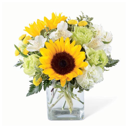 A Bouquet of  Sunflowers, Yellow Button Poms, Jade Roses, Pistachio Carnations, White Alstroemeria and Lush Greens in a Glass Vase