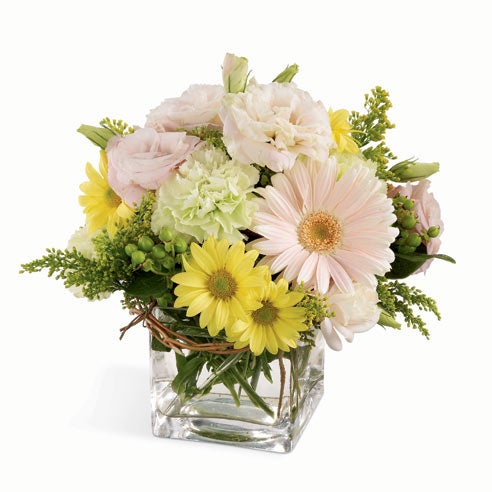 Best st patricks day gifts white gerbera daisy bouquet