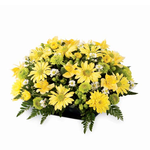 Yellow gerbera daisy and yellow alstromeria flowers in a square porcelain vase