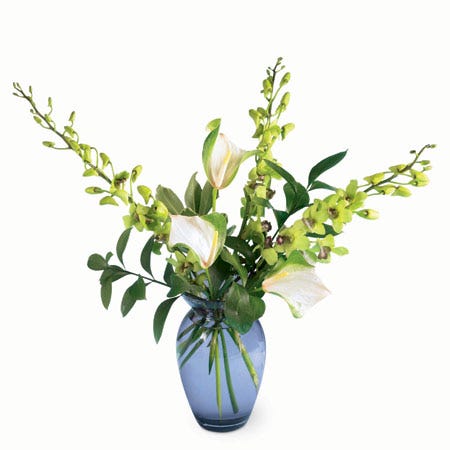 Mixed green orchid bouquet with green dendrobium orchids and green anthurium