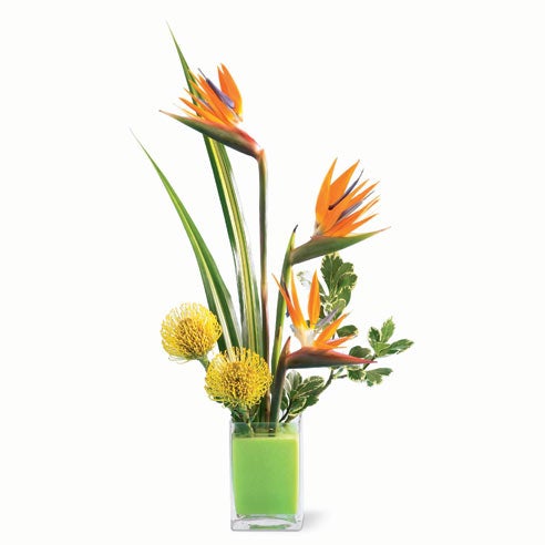 Unique administrative professionals day gift delivery birds of paradise gift delivery