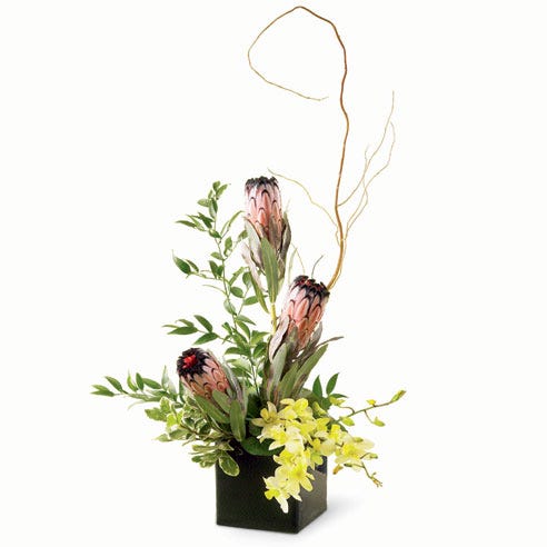 A Bouquet of 3 Blush Mink-Protea, Yellow Dendrobium Orchids, Curly Willows,  and Ruscus in a Dark Square Vase