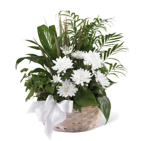 White Blossoms Sympathy Basket at Send Flowers