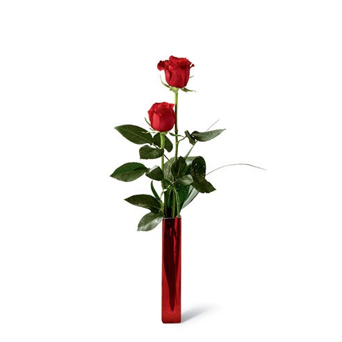 Thin red vase with 2 red roses and aspidistra leaf