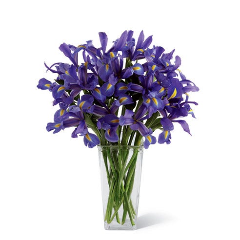 Blue iris bouquet in a clear glass square tower vase