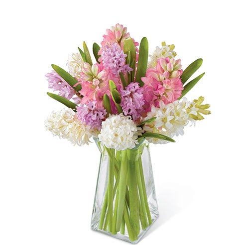 A Bouquet of White, Lilac And Hot Pink Hyacinth in a  Clear Gathered Square Glass Vase