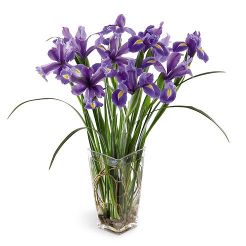 Stately Iris Bouquet