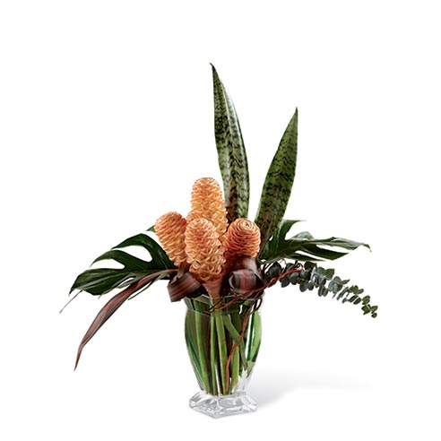 A bouquet of Shampoo Ginger, Curly Willow Tips, Assorted Lush Tropical Leaves on a Clear Glass Vase