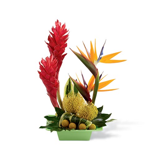 A Bouquet of Crimson Ginger, Birds of Paradise, Yellow Pincushion Protea and Assorted Tropic Greens in a Bright Green Square Bowl