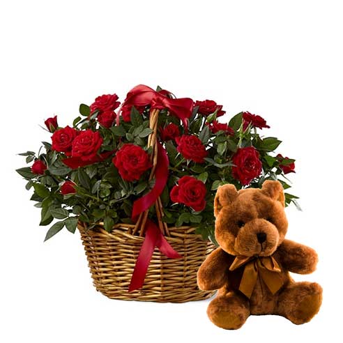 A Bouquet of Red Roses, Crimson Spray Roses, Variegated Pittosporum and Italian Variegated Pittosporum and Gathering Glass Vase with Hugging Teddy