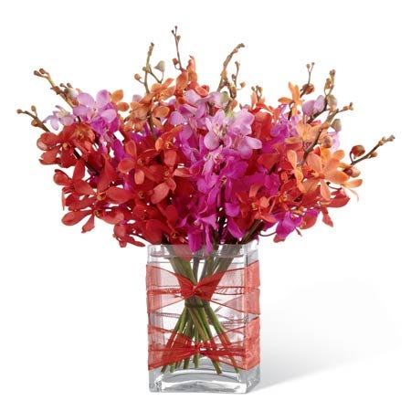 Red and fuchsia Mokara orchids in a rectangular clear glass vase