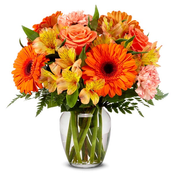 Orange gerbera daisy bouquet delivery