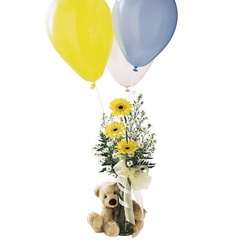 A Bouquet of Yellow Gerbera Daisies and White Monte Casino in a Glass Vase with Small Teddy Bear, Decorative Ribbon and 3 Latex Balloons