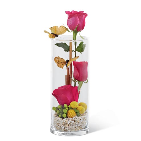 Hot Pink Roses, Green Hypericum Berries, Yellow Craspedia and Natural Stone in a Clear Glass Vase