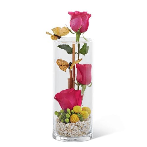 Three hot pink roses staggered at different heights within a clear glass vase