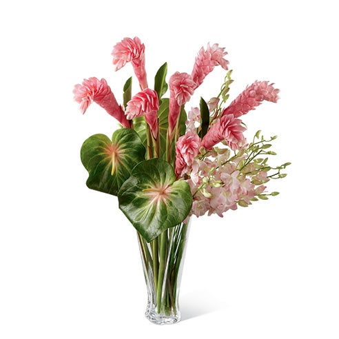 A Bouquet of Dendrobium Orchids, Ginger and Anthurium in a Superior Clear Glass Twist Vase