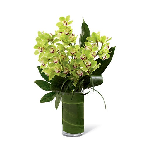 Orchids and green orchids bouquet with Ti leaf and aspidistra leaves