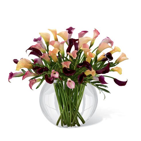 Plum calla lilies, light pink calla lilies, and dark pink calla lilies in a superior clear glass pillow case