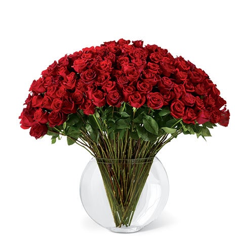 A bouquet of 100 pieces 24 inch red roses on a 13 inch clear vase