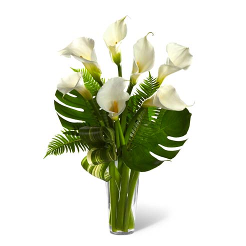 White calla lilies in a glass vase with sword fern fronds