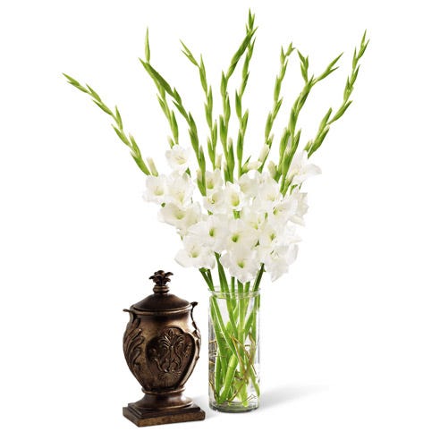 Funeral arrangement with white gladiolus flowers in cylinder vase