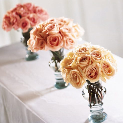 Bridesmaid's Rose Garden