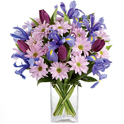 A Bouquet of Dark Blue Iris, Purple Tulips,  Lavender Daisies and Greenery in a Rectangle Glass Vase