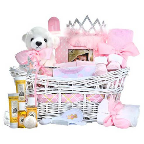 newborn baby girl basket