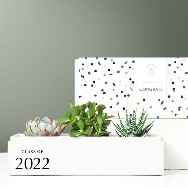 Lula's Garden® Class of 2022! Jewel Succulent Garden