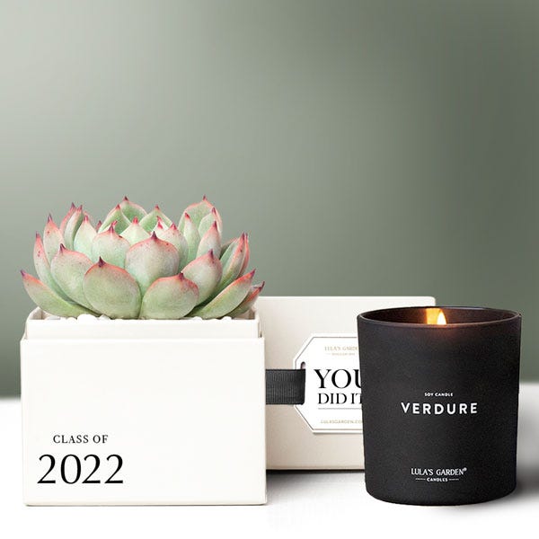 Lula's Garden® Class of 2022! Bliss Succulent Garden Gift Set