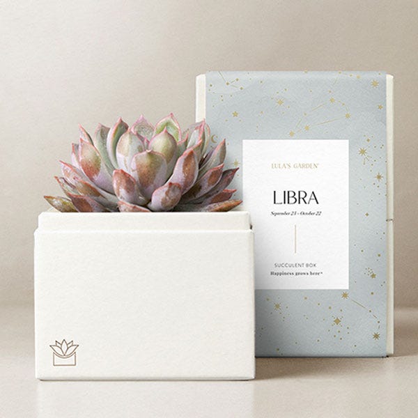 Lula's Garden ® Libra Birthday Bliss Succulent Gift