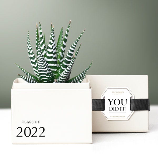 Lula's Garden® Class of 2022! Zebra Succulent Garden