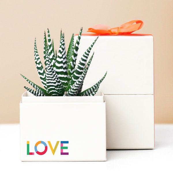 Lula's Garden ® Pride Month Celebration Zebra Garden