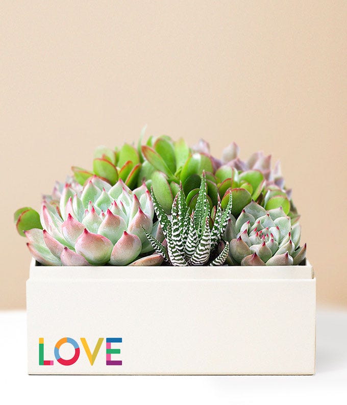Lula's Garden ® Pride Month Celebration Urban Garden