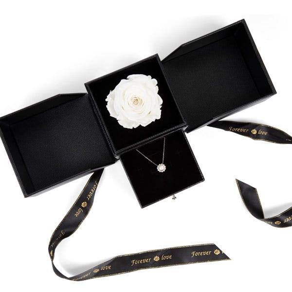 White Rose Sympathy & Necklace Gift Set