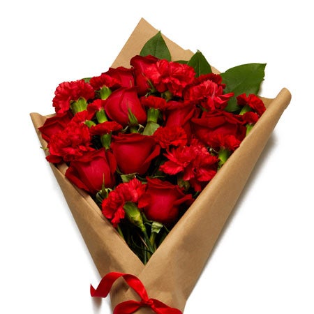 Send Love on Valentine's Day with a Gorgeous Living Gift Valentine’s Rose Plant Rose Bush Gift Wrapped with Huge Bow