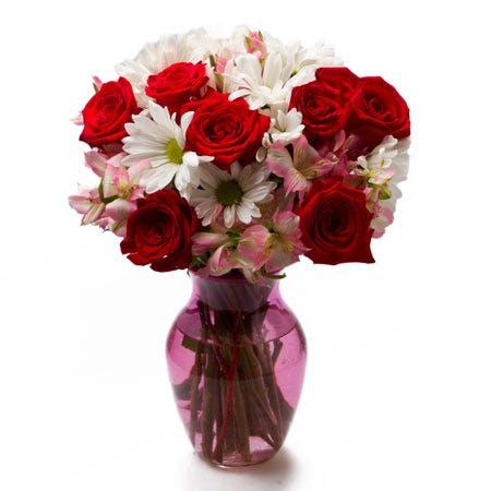 red rose white daisy bouquet with pink alstroemeria in a pink glass vase