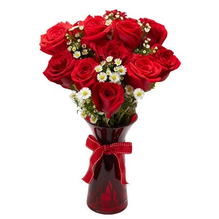 Farm fresh red roses with petite white flowers delivered in a red glass vase