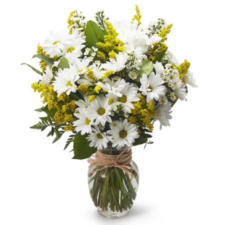 White daisy and yellow solidago bouquet, same-day daisy delivery cheap