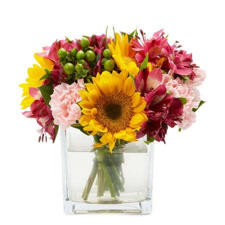 Square summer sunflower bouquet with sunflowers, hot pink alstromeria & berry