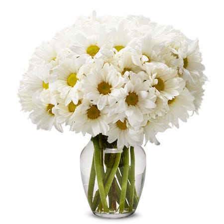 Small White Daisy Bouquet at Send Flowers