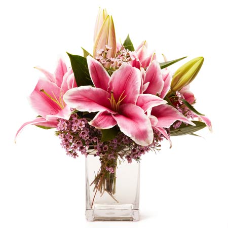 Stargazer lily delivery, online stargazer lily arrangement