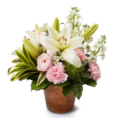 Unique white lily flower bouquet in flower pot