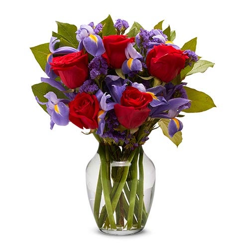 A Bouquet of Red Roses, Purple Static, Blue Irises and Salal in a Clear Vase