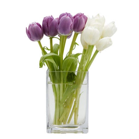 Modern White Tulip And Purple Tulips Bouquet