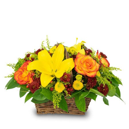 Autumn's Basket of Bounty