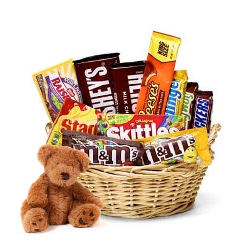 teddy bear with chocolate gift